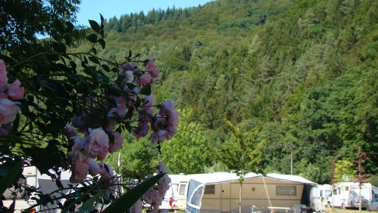 Camping Wies-Neu Dillingen Exterior photo